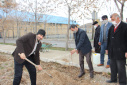 کاشت چند اصله درخت به مناسبت هفته درختکاری در دانشگاه جامع علمی کاربردی استان آذربایجان شرقی