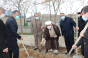 کاشت چند اصله درخت به مناسبت هفته درختکاری در دانشگاه جامع علمی کاربردی استان آذربایجان شرقی