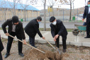 کاشت چند اصله درخت به مناسبت هفته درختکاری در دانشگاه جامع علمی کاربردی استان آذربایجان شرقی