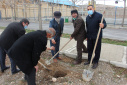 کاشت چند اصله درخت به مناسبت هفته درختکاری در دانشگاه جامع علمی کاربردی استان آذربایجان شرقی