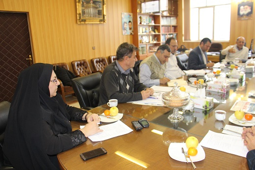 برگزاری شورای ورزشی دانشگاه