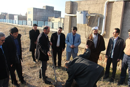 کاشت چند اصله درخت به مناسبت روز درختکاری