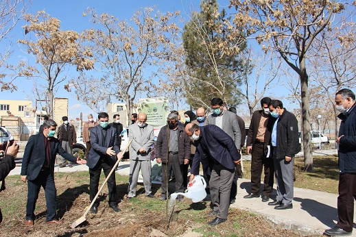کاشت چند اصله درخت به مناسبت هفته درختکاری در دانشگاه جامع علمی کاربردی استان آذربایجان شرقی